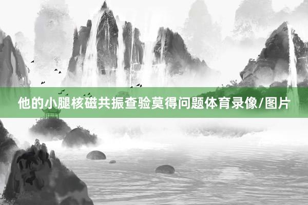 他的小腿核磁共振查验莫得问题体育录像/图片