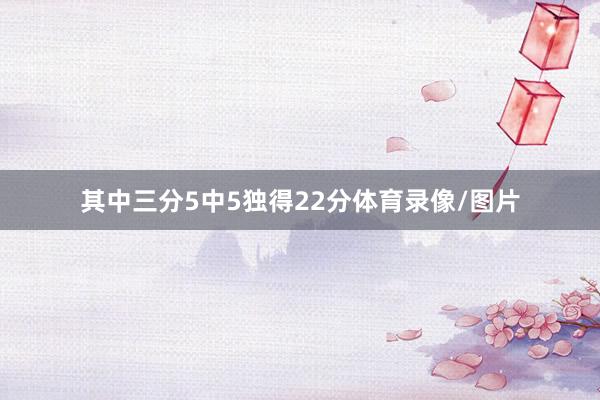 其中三分5中5独得22分体育录像/图片
