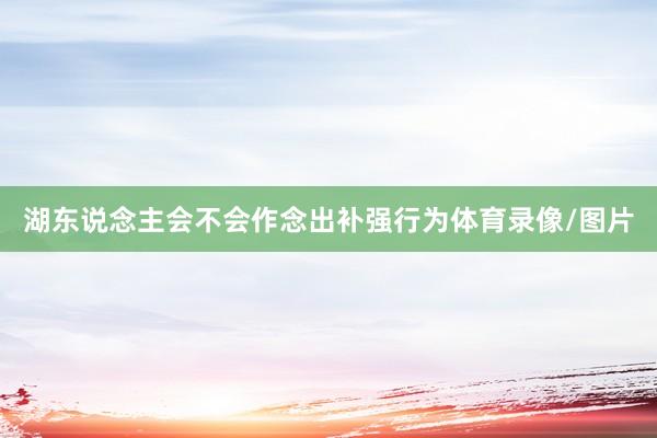 湖东说念主会不会作念出补强行为体育录像/图片