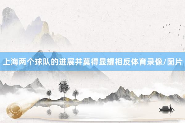 上海两个球队的进展并莫得显耀相反体育录像/图片