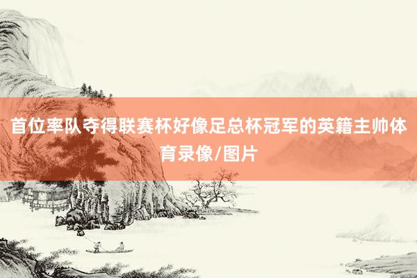 首位率队夺得联赛杯好像足总杯冠军的英籍主帅体育录像/图片
