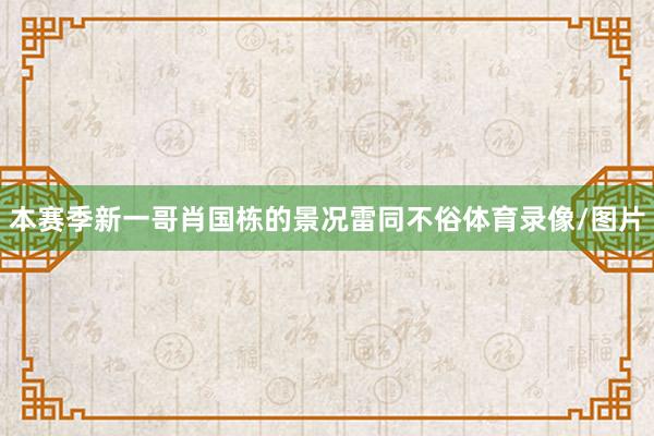 本赛季新一哥肖国栋的景况雷同不俗体育录像/图片