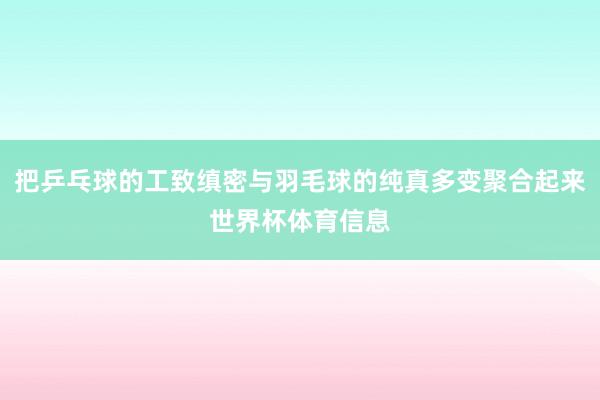 把乒乓球的工致缜密与羽毛球的纯真多变聚合起来世界杯体育信息