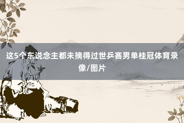这5个东说念主都未摘得过世乒赛男单桂冠体育录像/图片