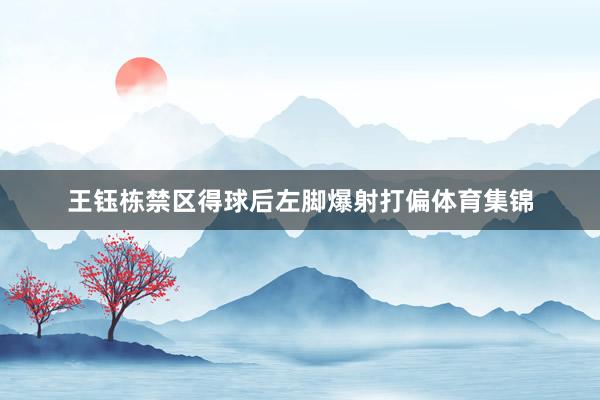 王钰栋禁区得球后左脚爆射打偏体育集锦