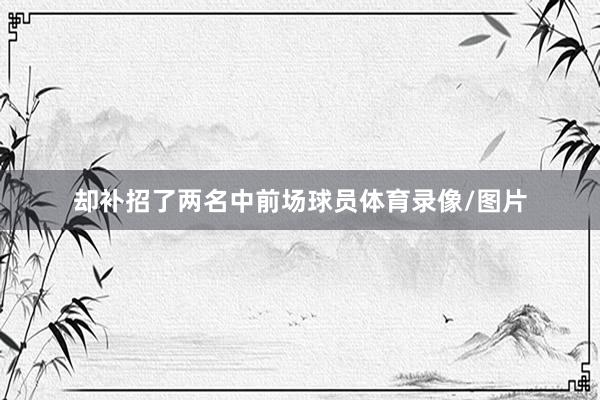却补招了两名中前场球员体育录像/图片