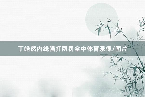 丁皓然内线强打两罚全中体育录像/图片
