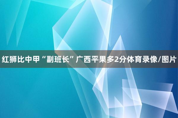 红狮比中甲“副班长”广西平果多2分体育录像/图片