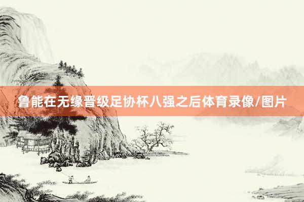 鲁能在无缘晋级足协杯八强之后体育录像/图片