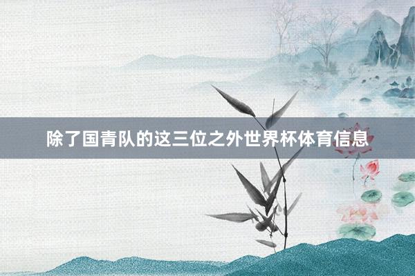 除了国青队的这三位之外世界杯体育信息