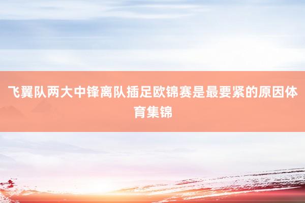 飞翼队两大中锋离队插足欧锦赛是最要紧的原因体育集锦