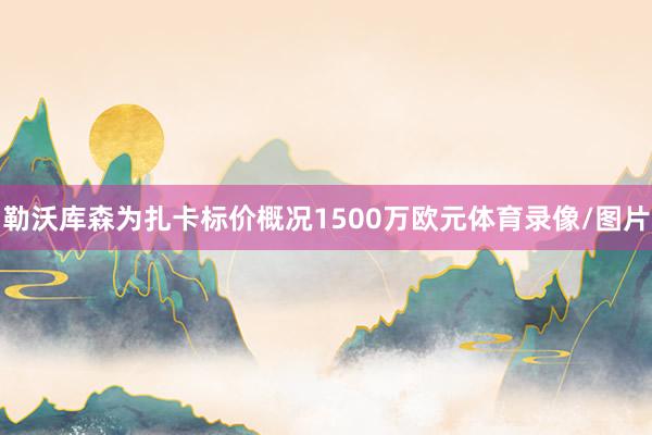 勒沃库森为扎卡标价概况1500万欧元体育录像/图片