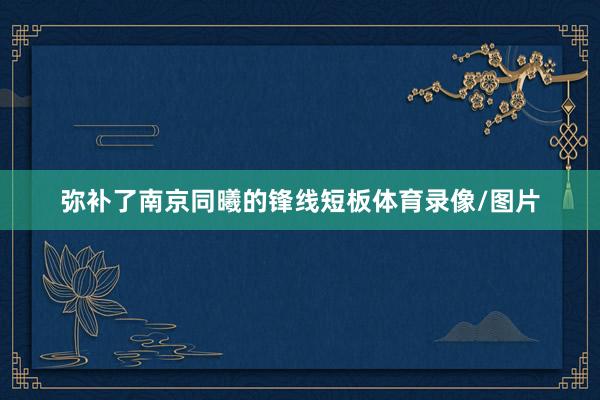 弥补了南京同曦的锋线短板体育录像/图片