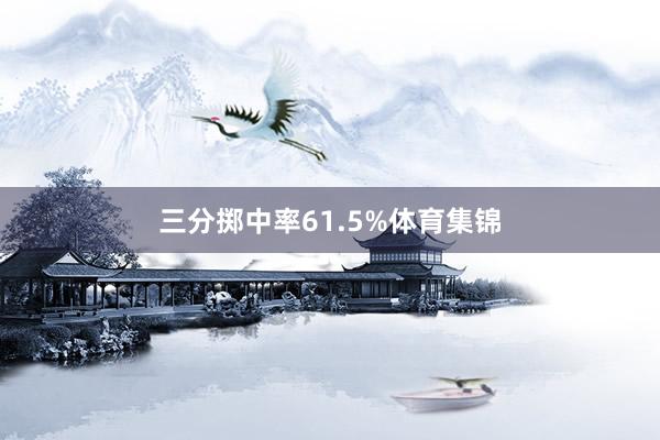 三分掷中率61.5%体育集锦