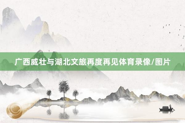 广西威壮与湖北文旅再度再见体育录像/图片