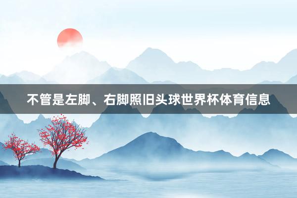 不管是左脚、右脚照旧头球世界杯体育信息