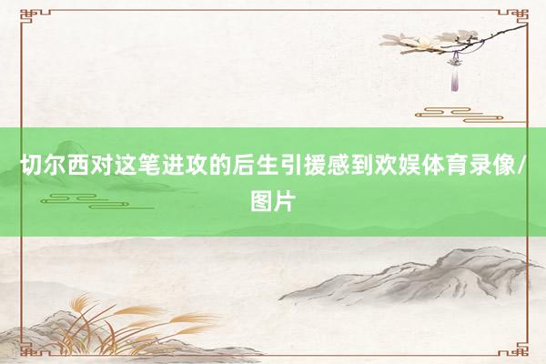 切尔西对这笔进攻的后生引援感到欢娱体育录像/图片