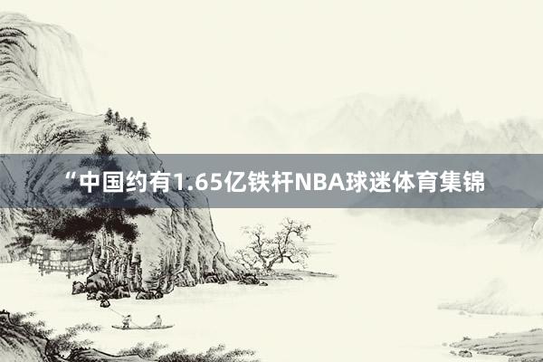 “中国约有1.65亿铁杆NBA球迷体育集锦