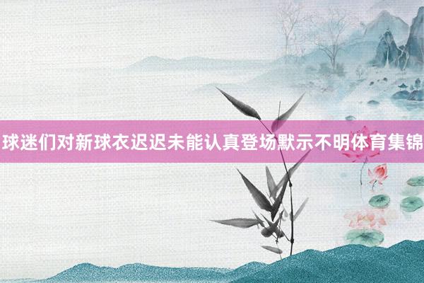 球迷们对新球衣迟迟未能认真登场默示不明体育集锦