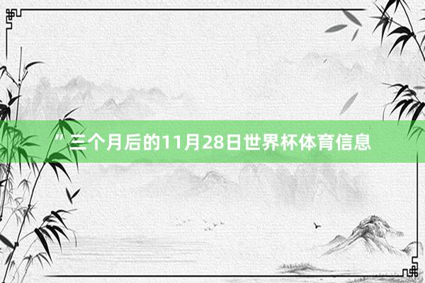 ”三个月后的11月28日世界杯体育信息