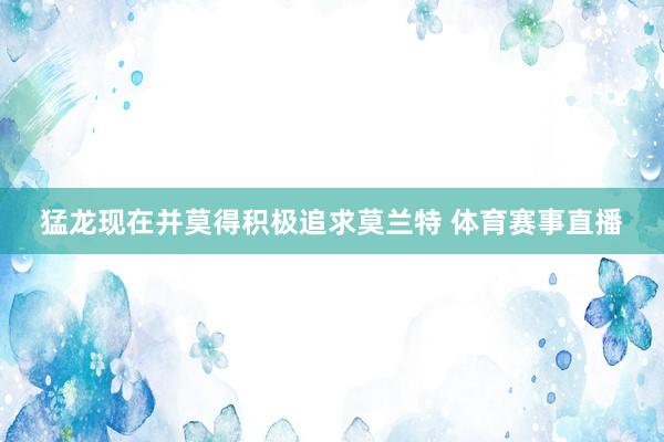 猛龙现在并莫得积极追求莫兰特 体育赛事直播