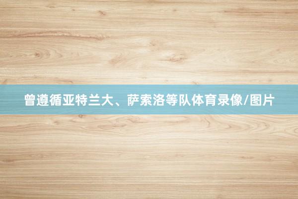 曾遵循亚特兰大、萨索洛等队体育录像/图片