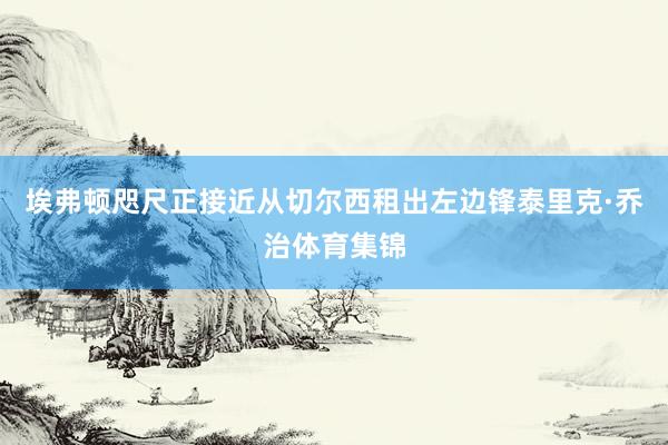 埃弗顿咫尺正接近从切尔西租出左边锋泰里克·乔治体育集锦