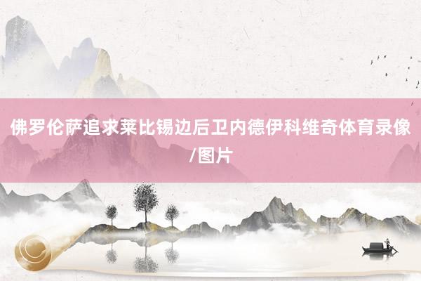 佛罗伦萨追求莱比锡边后卫内德伊科维奇体育录像/图片