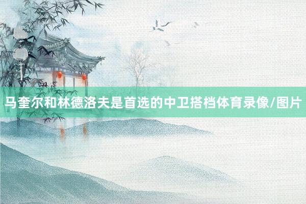 马奎尔和林德洛夫是首选的中卫搭档体育录像/图片