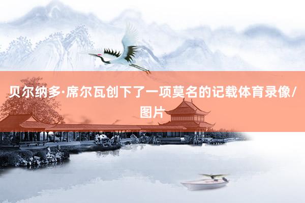 贝尔纳多·席尔瓦创下了一项莫名的记载体育录像/图片