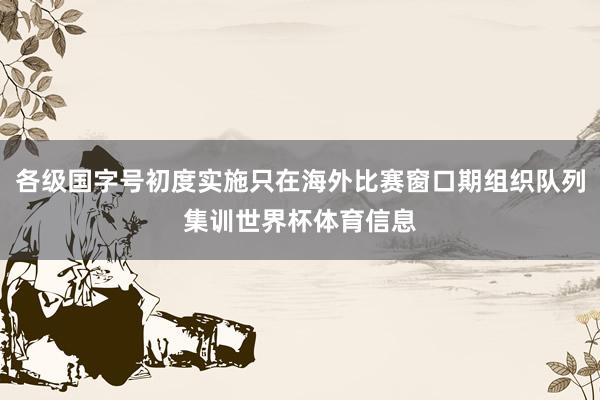 各级国字号初度实施只在海外比赛窗口期组织队列集训世界杯体育信