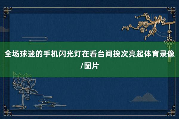 全场球迷的手机闪光灯在看台间挨次亮起体育录像/图片