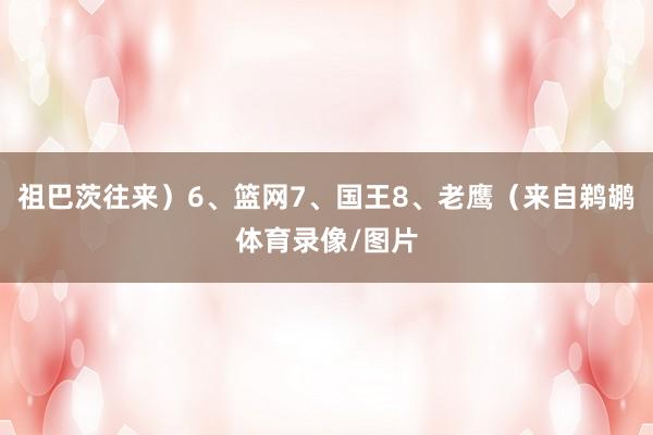 祖巴茨往来)6、篮网7、国王8、老鹰(来自鹈鹕体育录像/图片