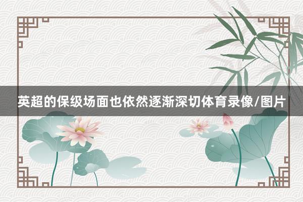 英超的保级场面也依然逐渐深切体育录像/图片