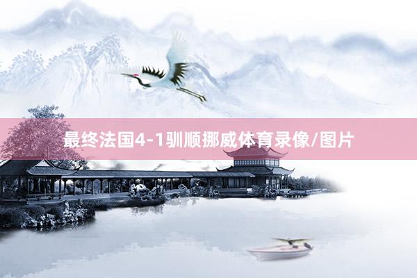 最终法国4-1驯顺挪威体育录像/图片